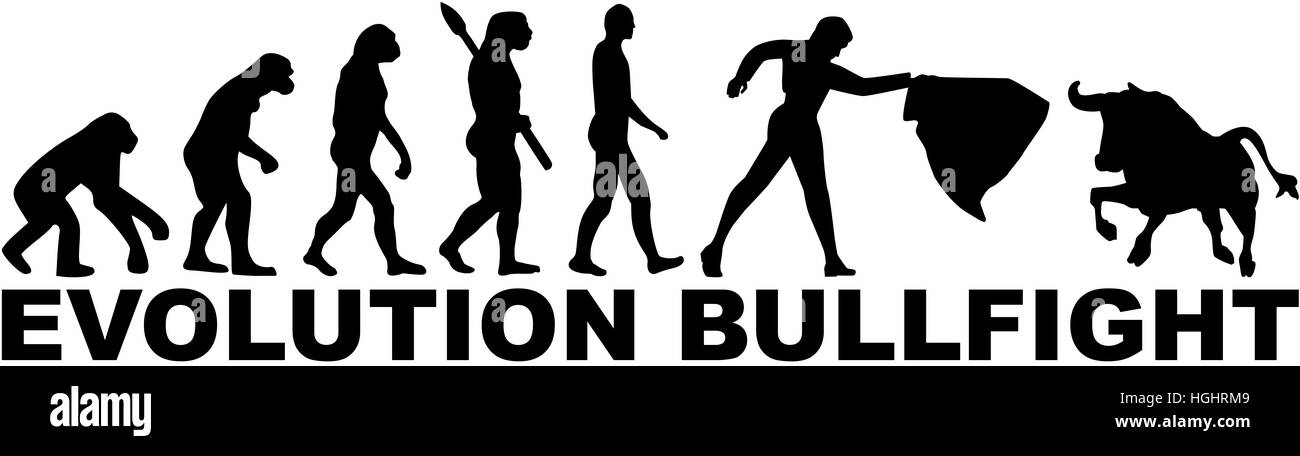 Évolution corrida Banque D'Images