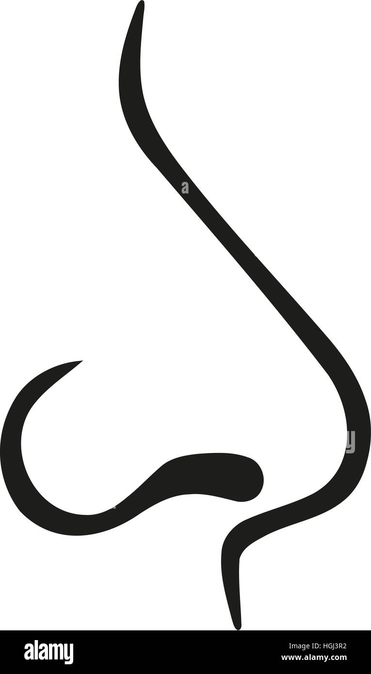 Profil de nez Banque D'Images