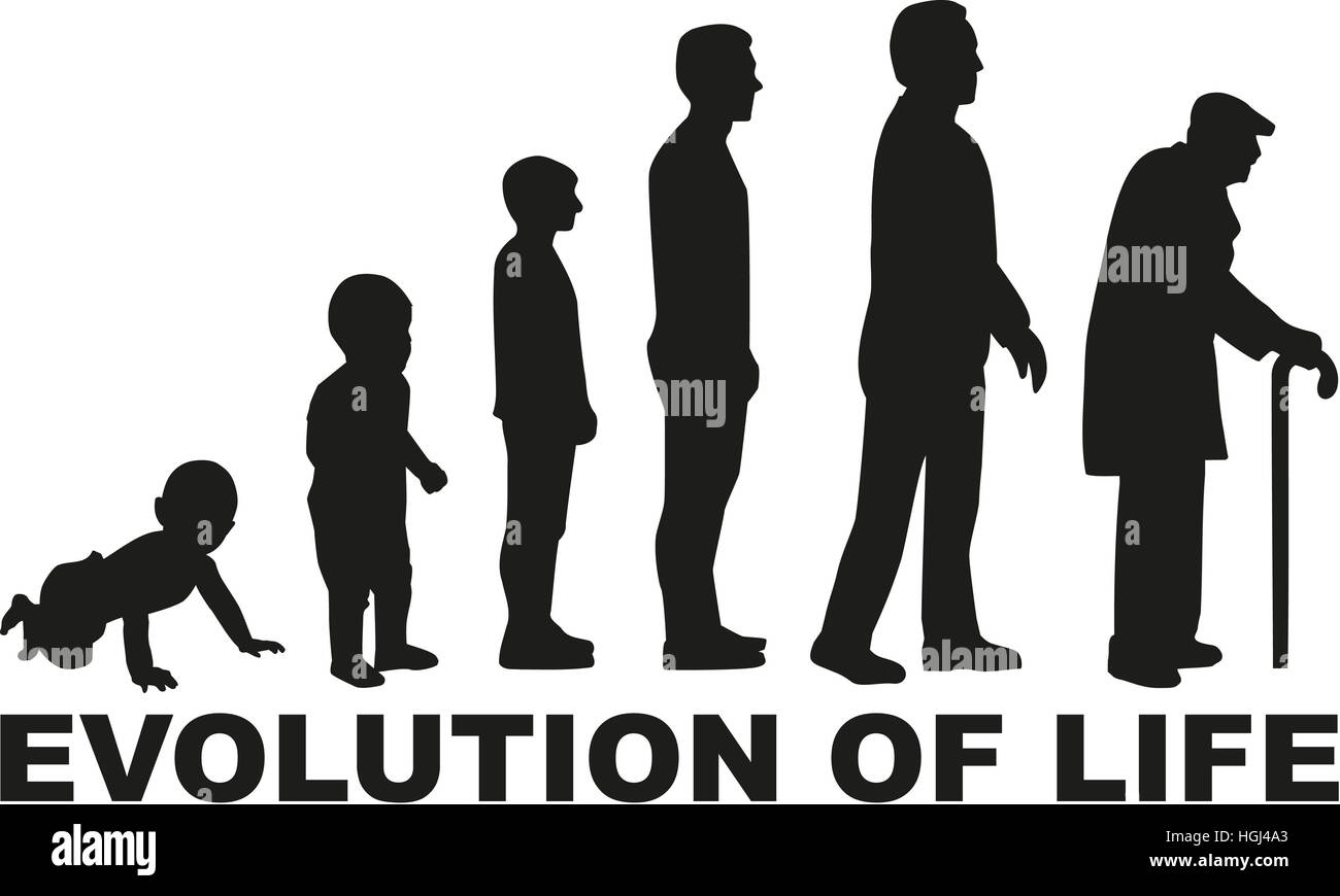 Baby to man evolution Banque de photographies et d’images à haute résolution Alamy