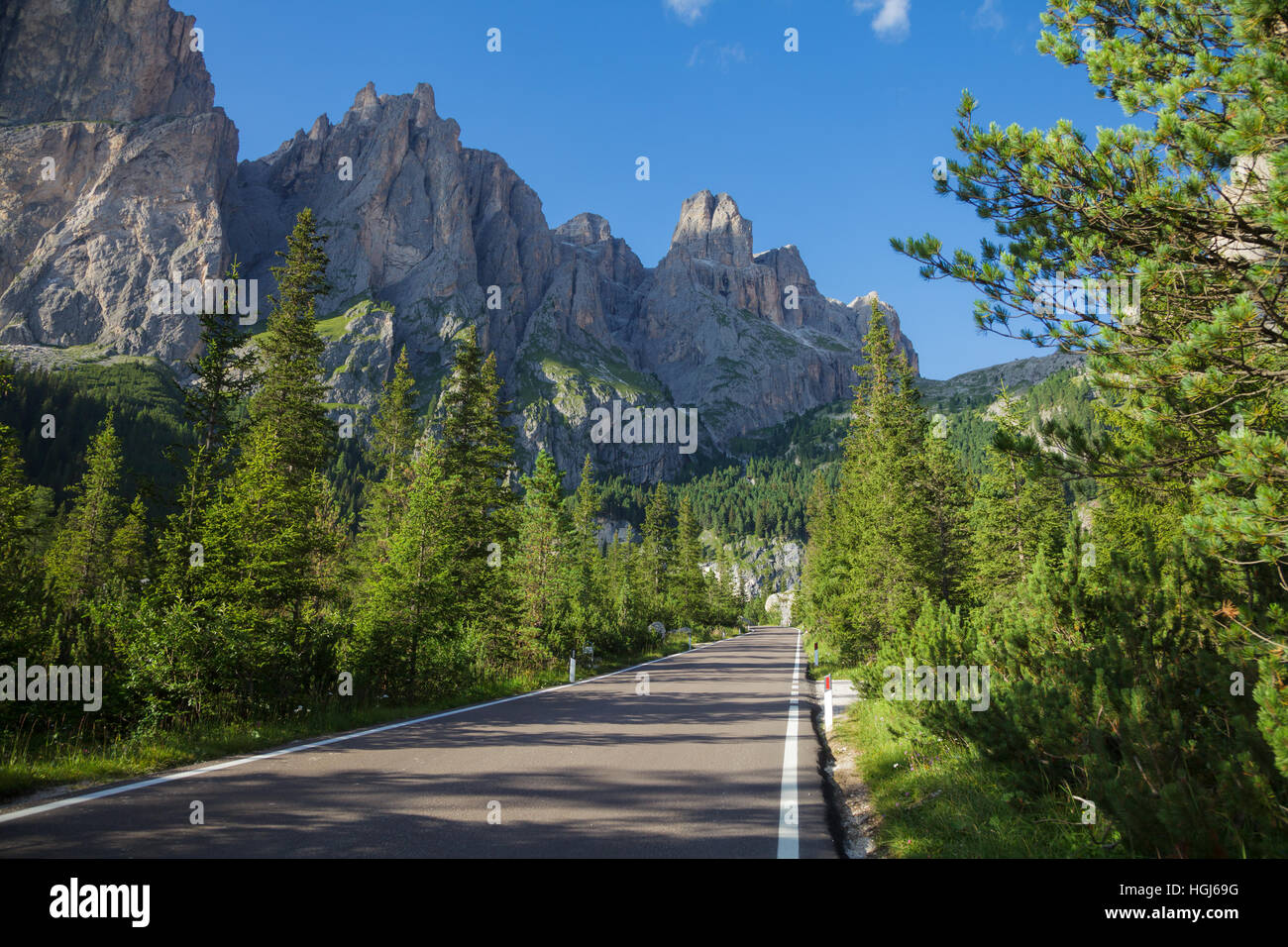 Scenic Route à travers la forêt de sapins, dans le Nord de l'Italie avec des cols alpins en arrière-plan Banque D'Images