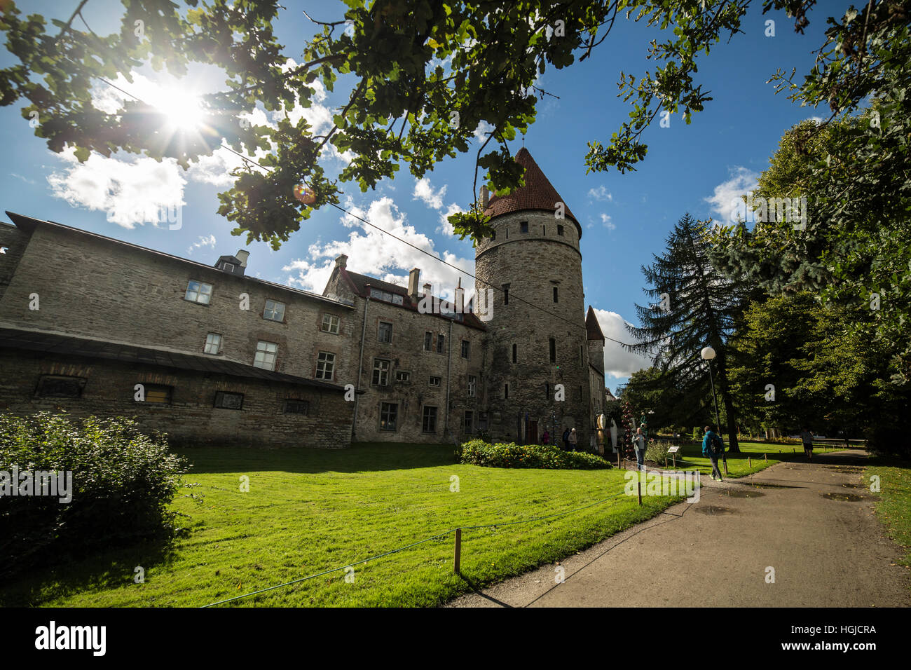 Loewenschede Tower situé dans la vieille ville de Tallinn en Estonie. Banque D'Images