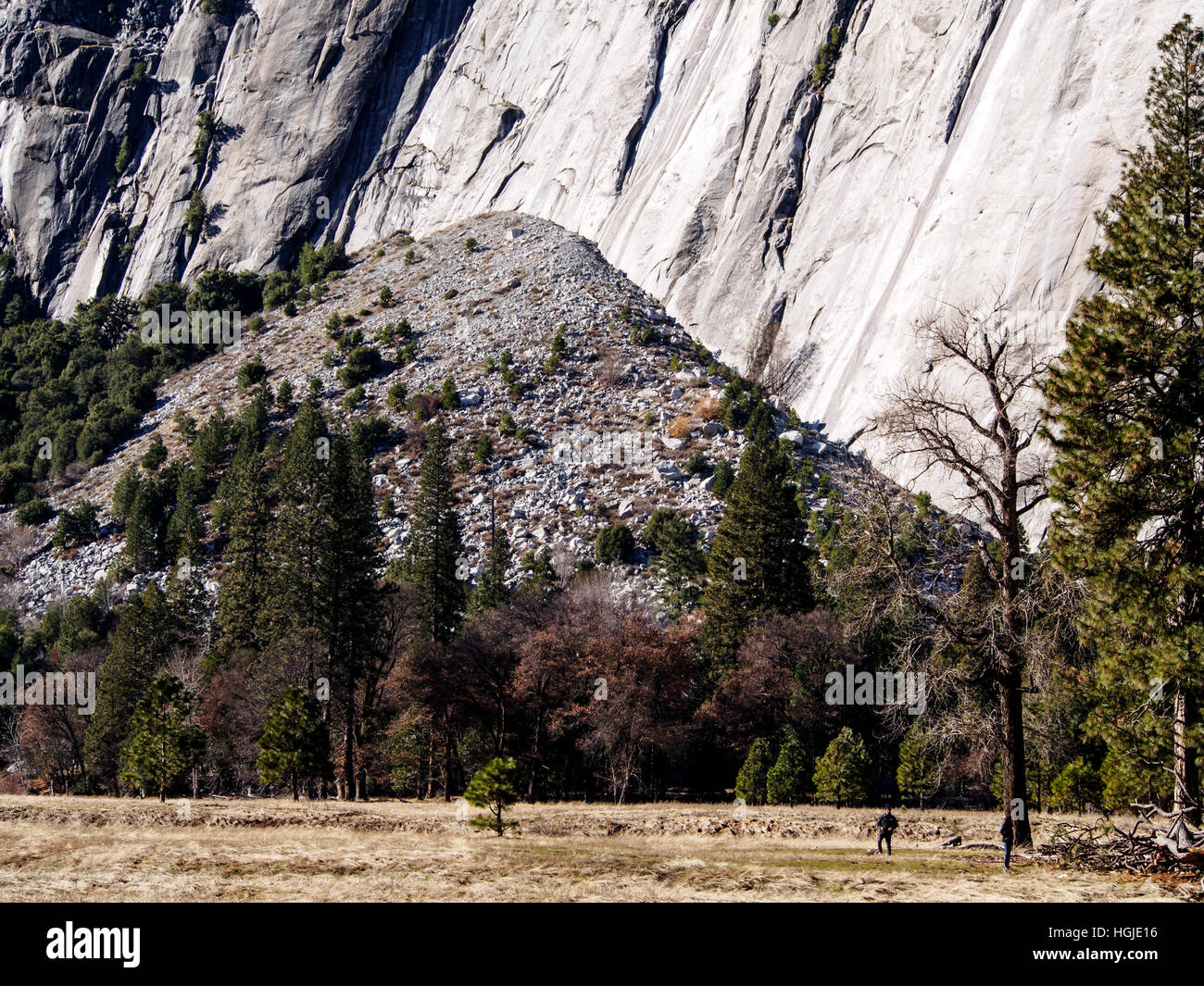 Ventilateur d'éboulis ou de cône d'éboulis et de débris de falaise au pied d'une falaise de granit dans la vallée de Yosemite Banque D'Images