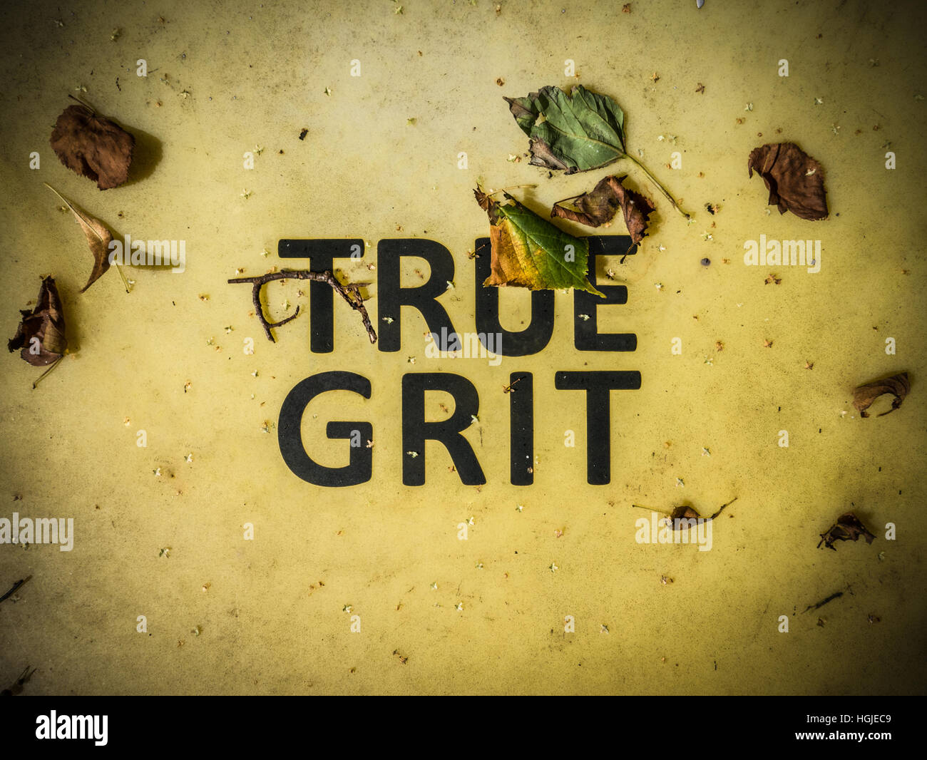 Image conceptuelle de True Grit écrit sur un bac de sable Banque D'Images