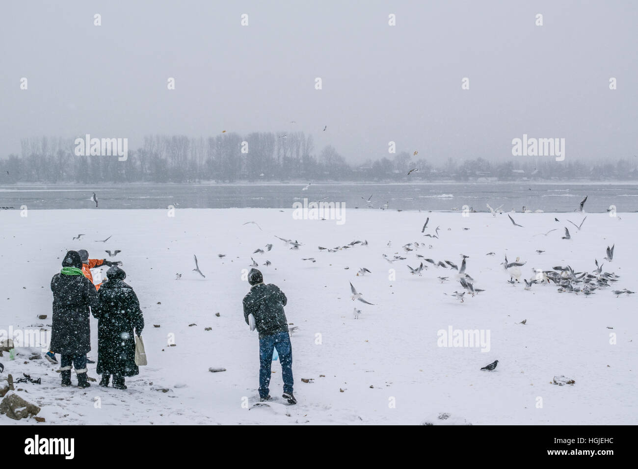Les gens nourrir les oiseaux sur le Danube gelé avec bateaux capturés sur un jour d'hiver neige Banque D'Images