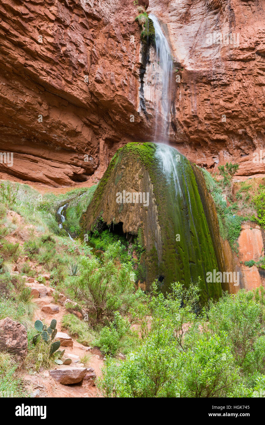 Chutes de ruban verser sur un grand rocher couvert d'algues à sa base dans le Grand Canyon. Le Parc National du Grand Canyon, Arizona Banque D'Images