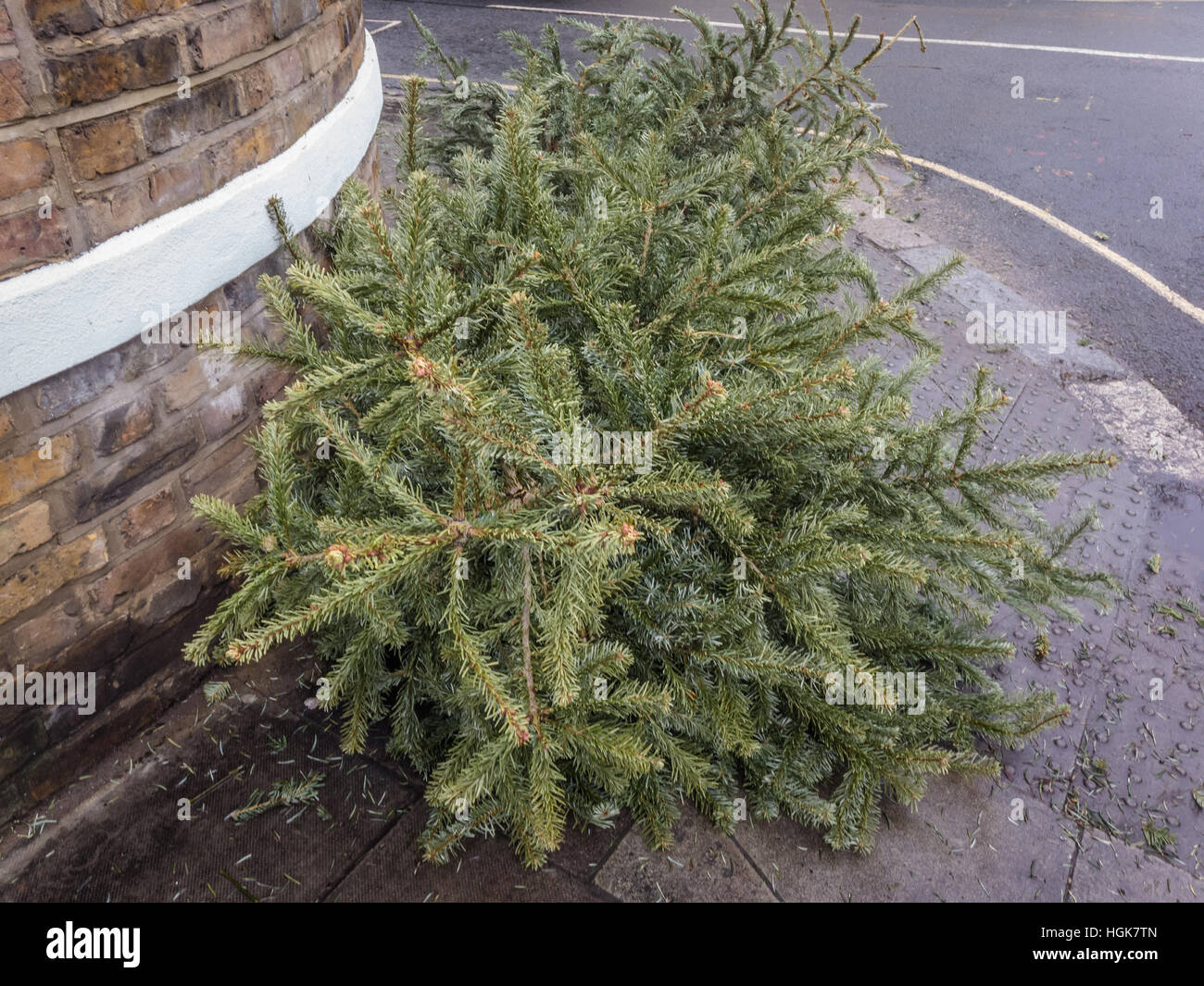 Vieux sapins de Noël jetés après Noël, prêt pour la collecte Banque D'Images