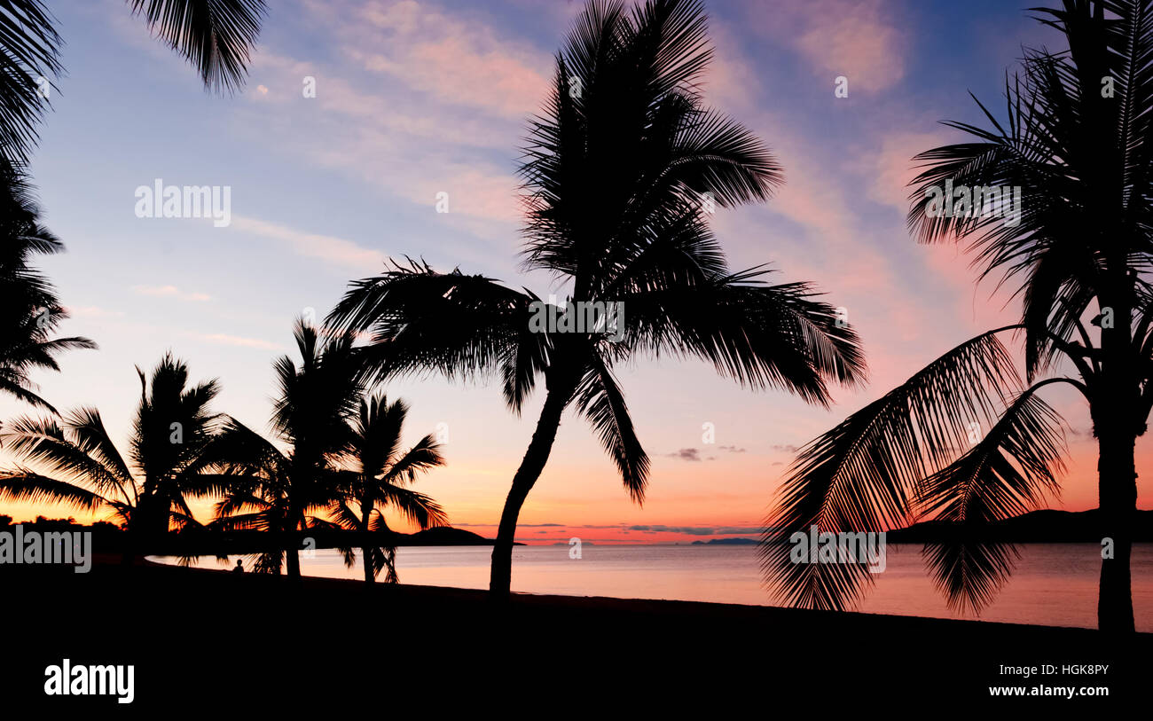 Silhouettes de palmiers tropicaux sur une plage au coucher du soleil Banque D'Images