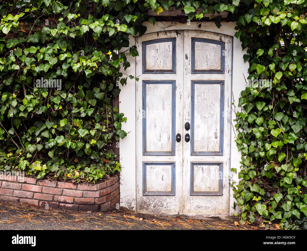 Peinture écaillée sur une vieille porte en bois dans un grand ensemble de couverture de végétation dans la ville pittoresque de Carmel, en Californie. Banque D'Images