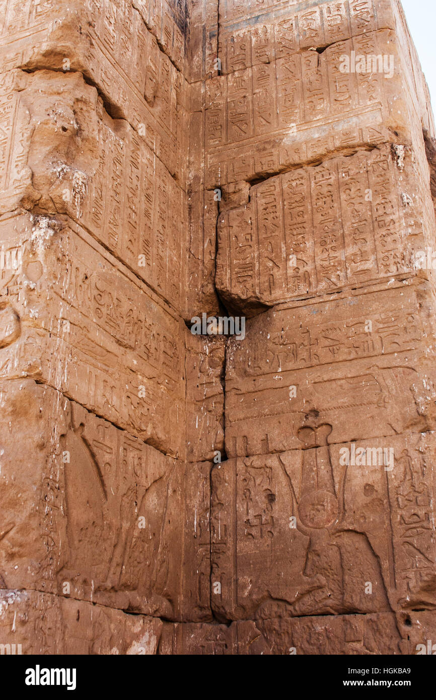 Oiseau perché entre les blocs d'un pilier dans le Temple d'Edfou, dédié au dieu faucon Horus le long du Nil en Egypte. Banque D'Images