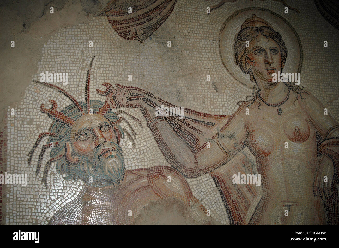 Mosaïque dans le sous sol chambre d'Amphitrite, BULLA REGIA Site Archéologique, Jendouba, Tunisie Banque D'Images