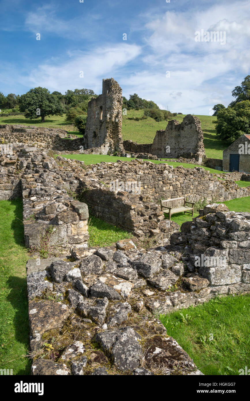 Ruines de l'abbaye de Kirkham (Kirkham prieuré) à côté de la rivière Derwent dans Yorkshire du Nord. Banque D'Images