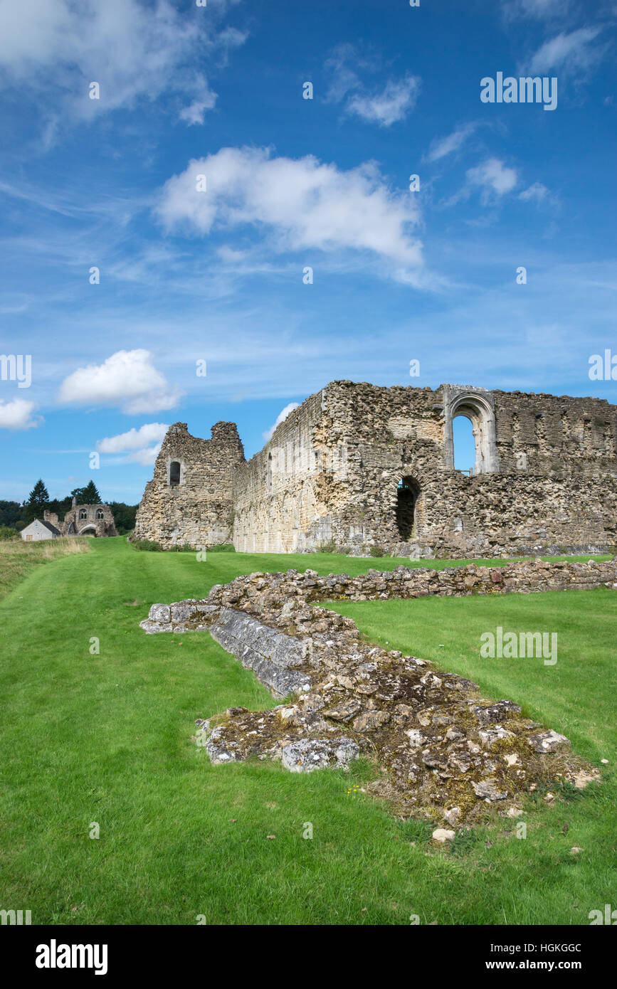 Ruines de l'abbaye de Kirkham (Kirkham prieuré) à côté de la rivière Derwent dans Yorkshire du Nord. Banque D'Images