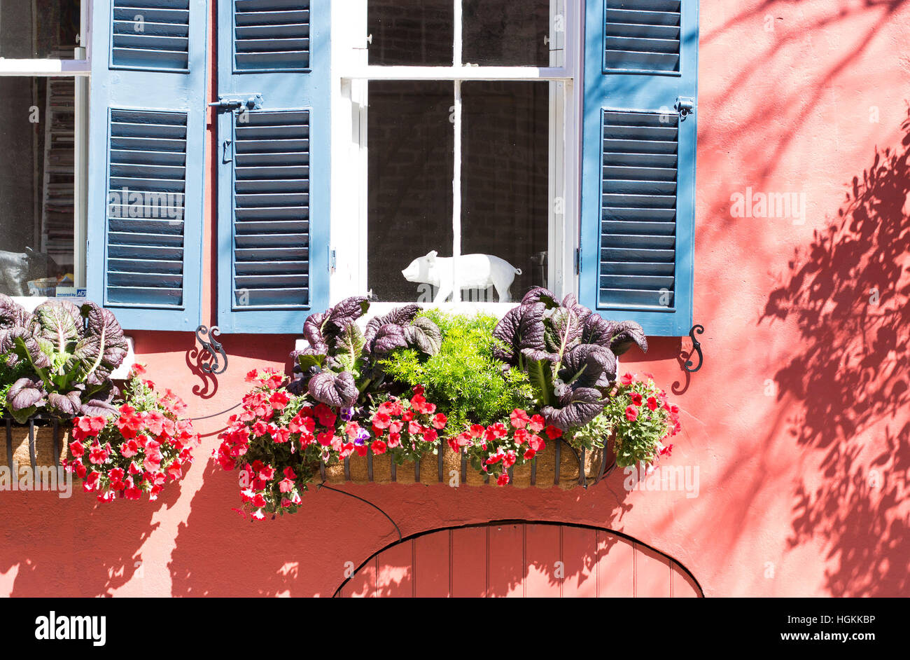 Maison coloniale aux murs rouges des volets bleus, boite à fleurs et de porcs dans la fenêtre Banque D'Images