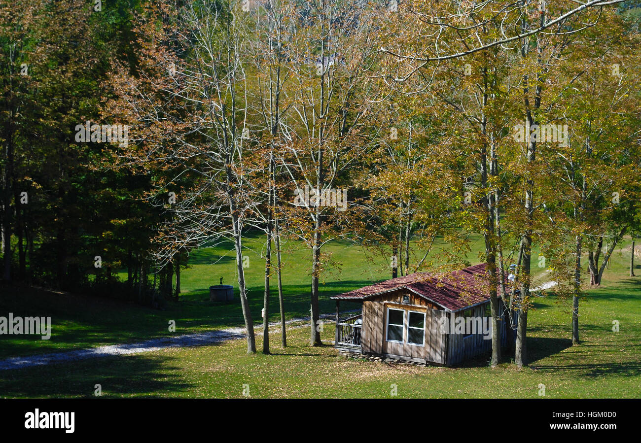 Ferme dans une forêt Banque D'Images