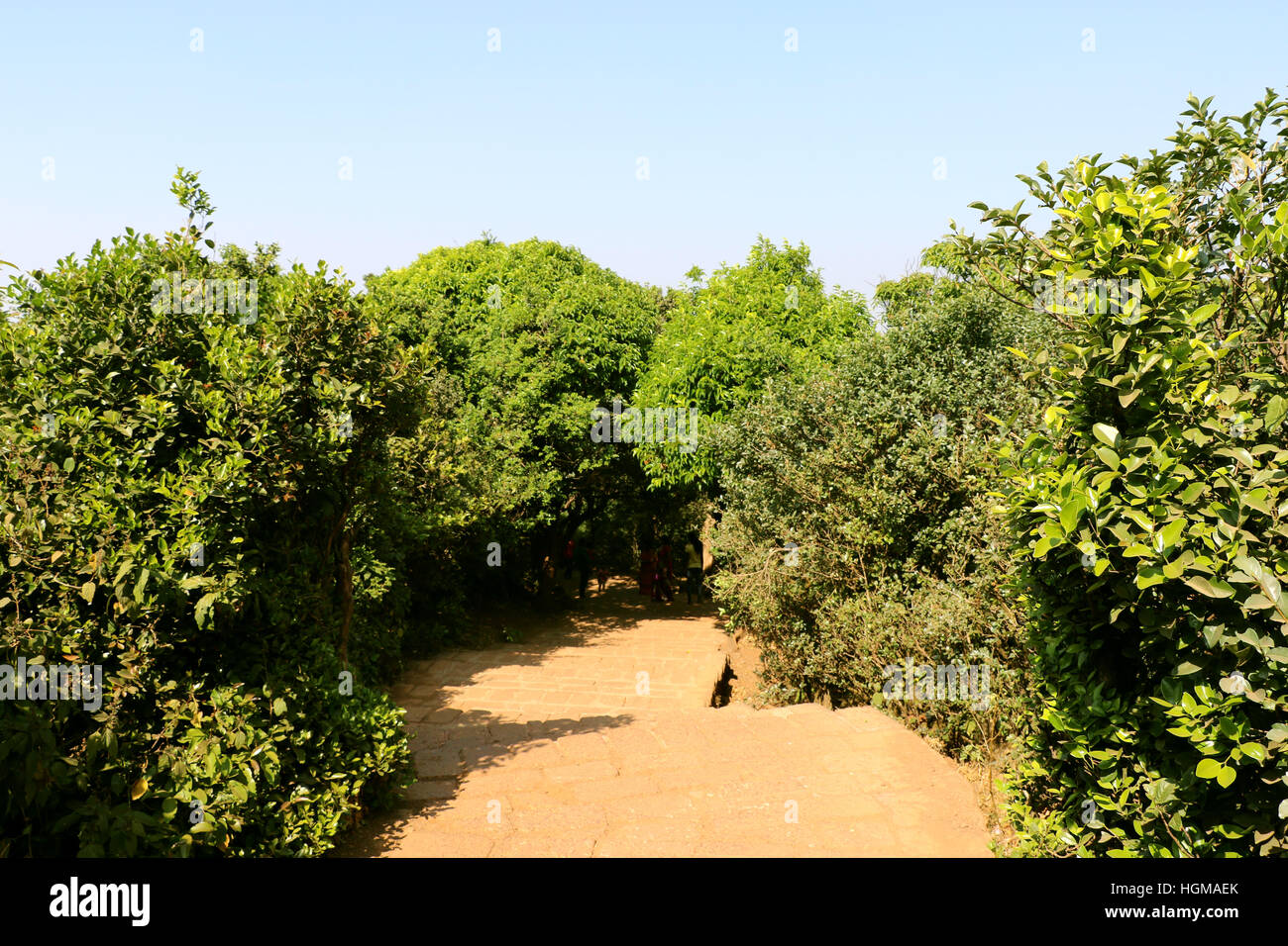 Mahabaleshwar station de colline près de Mumbai. Les touristes peuvent découvrir la magie à Monkey Point, Arthur seat Point, Kate's Point, le trou de l'aiguille ou point d'éléphants etc Banque D'Images