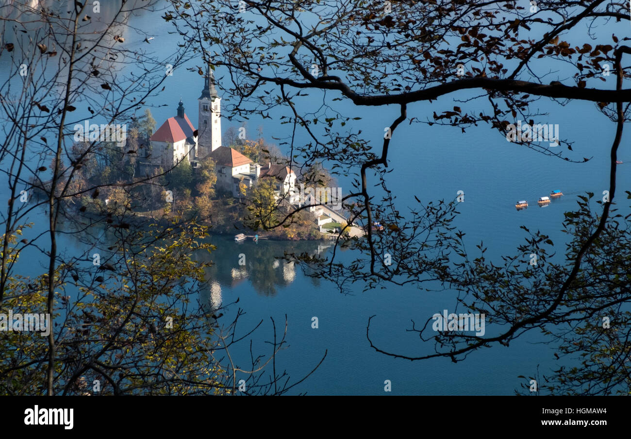 Vue sur le lac de Bled et à l'île de Bled, Slovénie, à travers les branches d'arbres en automne Banque D'Images