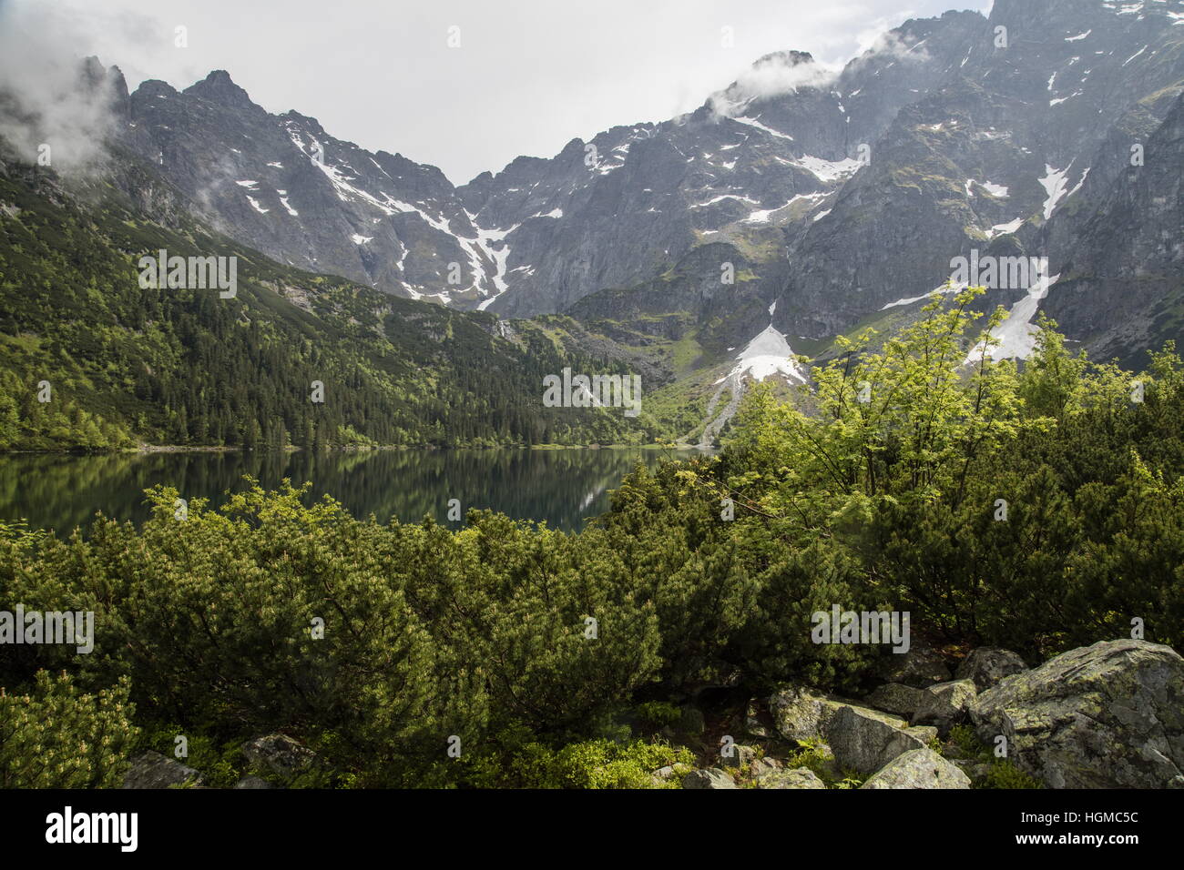Morskie Oko ; lac glaciaire entourée par la forêt dans les Hautes Tatras, Pologne Banque D'Images