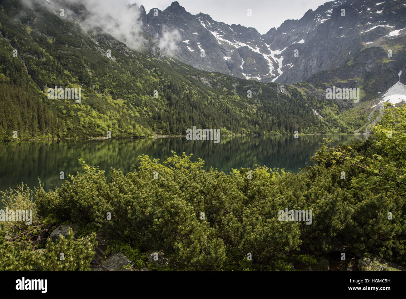 Morskie Oko ; lac glaciaire entourée par la forêt dans les Hautes Tatras, Pologne Banque D'Images