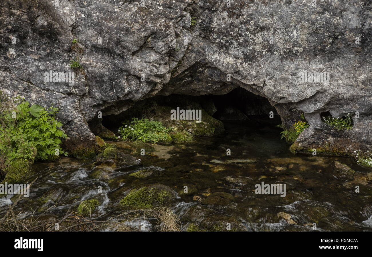 L'émission à partir de la rivière souterraine, grotte de calcaire dans la vallée Koscielska, Tatras, Pologne. Banque D'Images