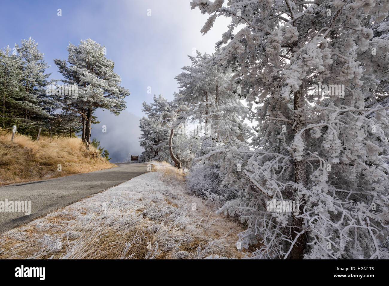 Passage Moissiere et forêt Sapet en hiver avec des arbres couverts de givre. Hautes Alpes, Parc National des Ecrins, Alpes, France Banque D'Images