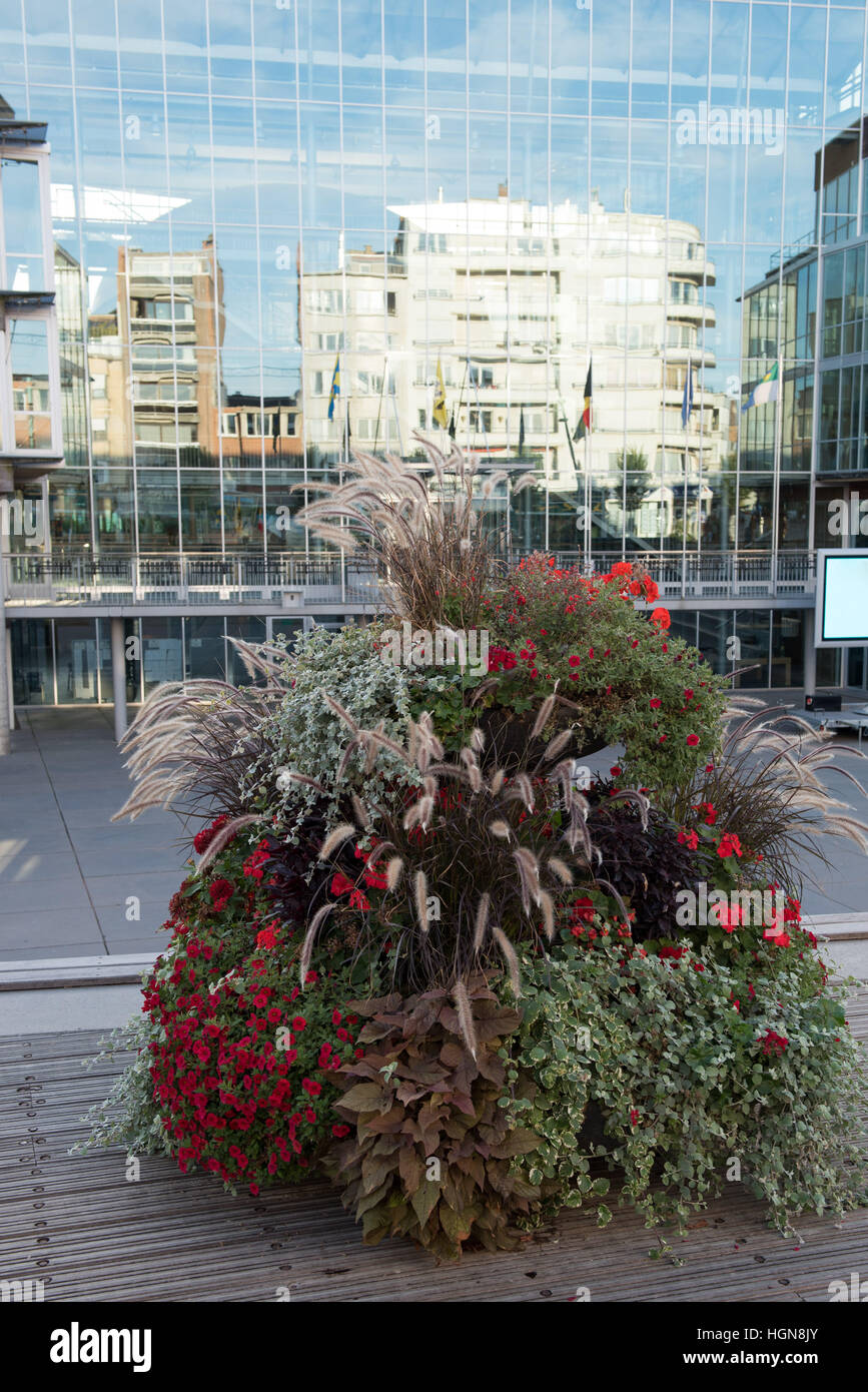 Décoration de fleurs colorées sur un plancher de bois à Koksijde, Belgique Banque D'Images