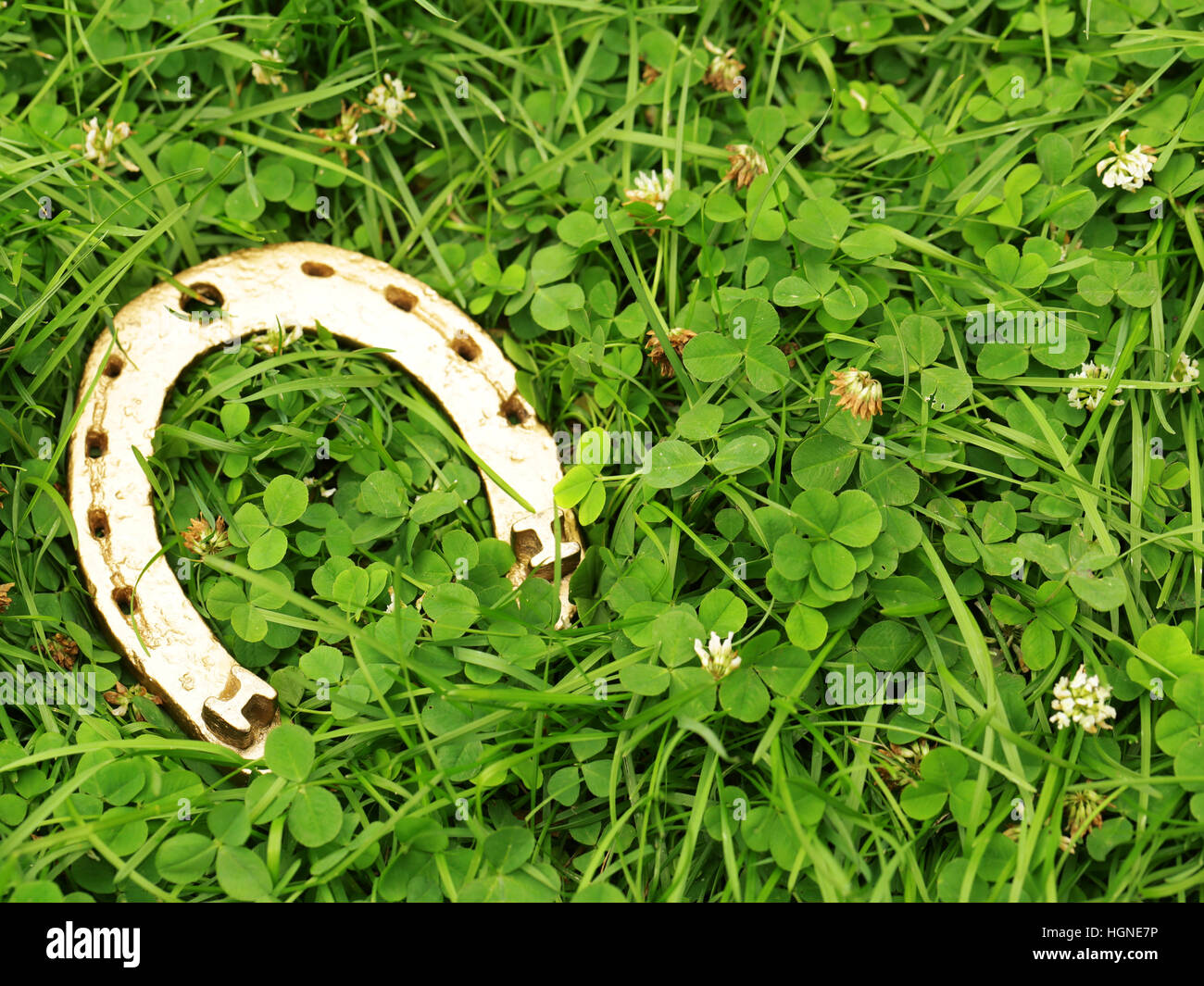 Symboles traditionnels pour Patrick's Day - clover et golden horseshoe Banque D'Images