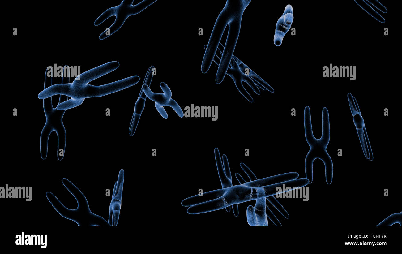 Le chromosome X . 3D render Banque D'Images