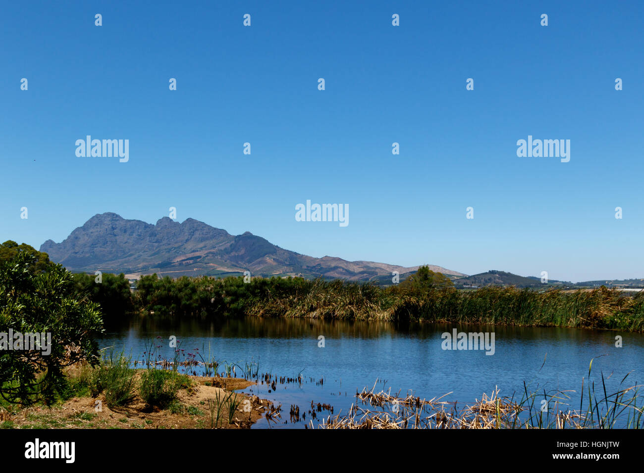 Le barrage, les buissons et sur la montagne avec ciel bleu. Banque D'Images