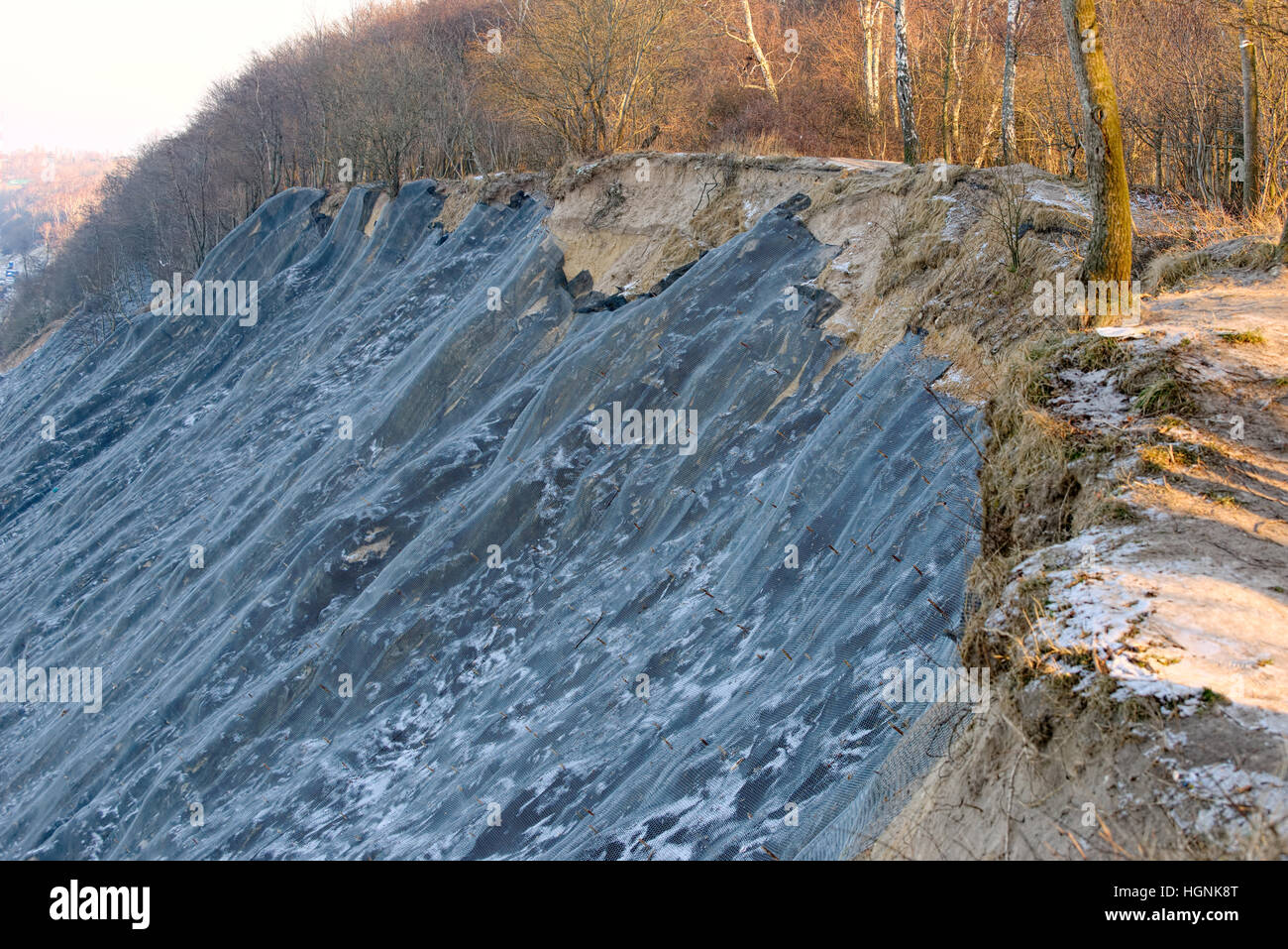 Pente de montagne de protection en métal renforcé mesh Banque D'Images