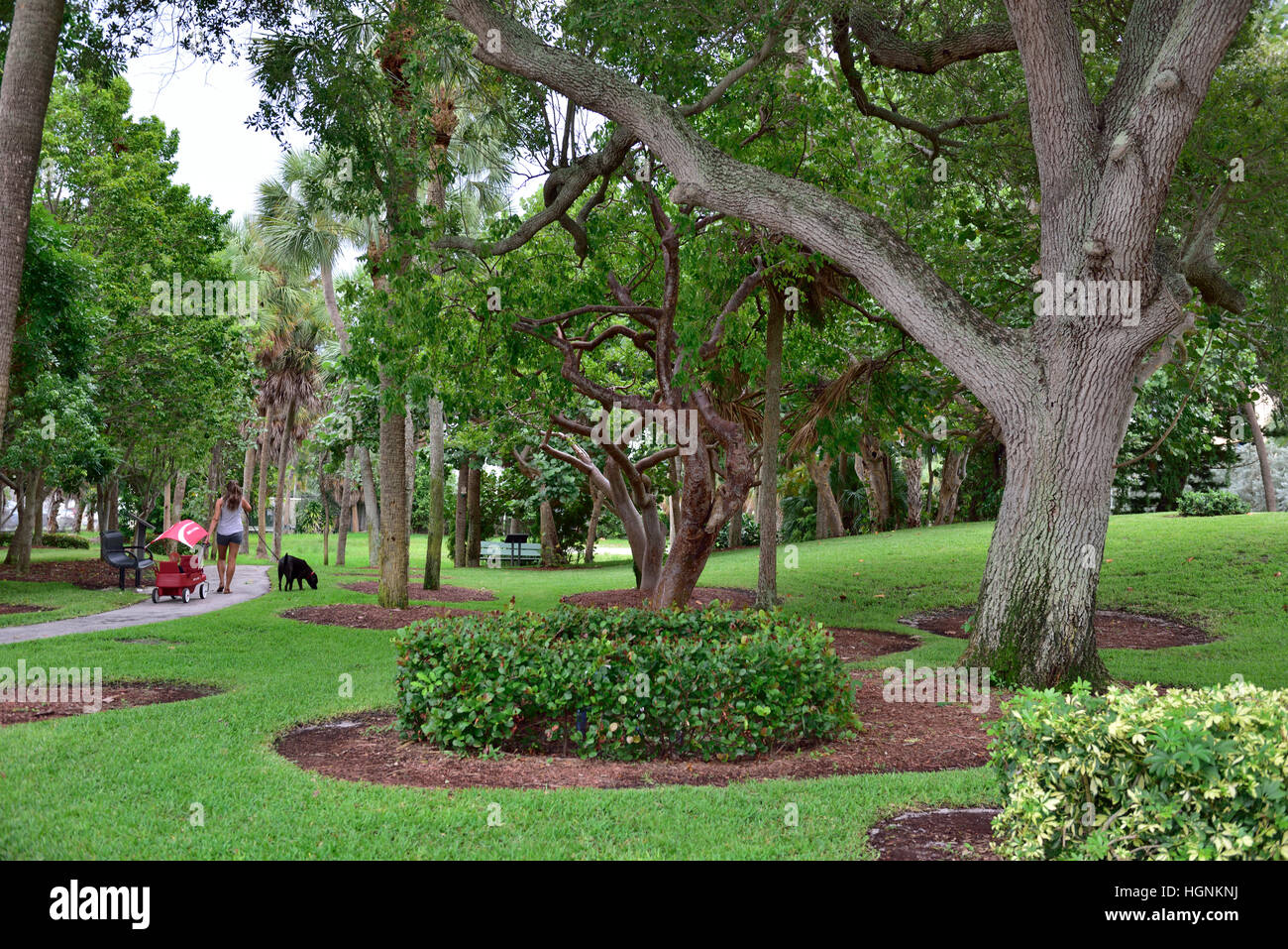 Le petit tumulus indien Pompano Beach Park, Fort Lauderdale, Florida, USA Banque D'Images