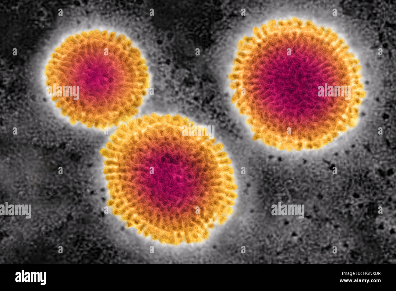 Le virus de l'influenza, le TEM Banque D'Images
