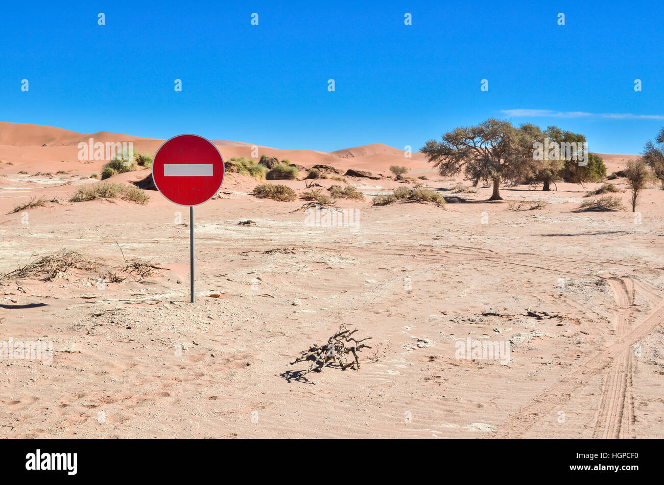 Arbres pétrifiés de Dead Vlei à Sossusvlei, dans le désert du Namib, Namibie Banque D'Images