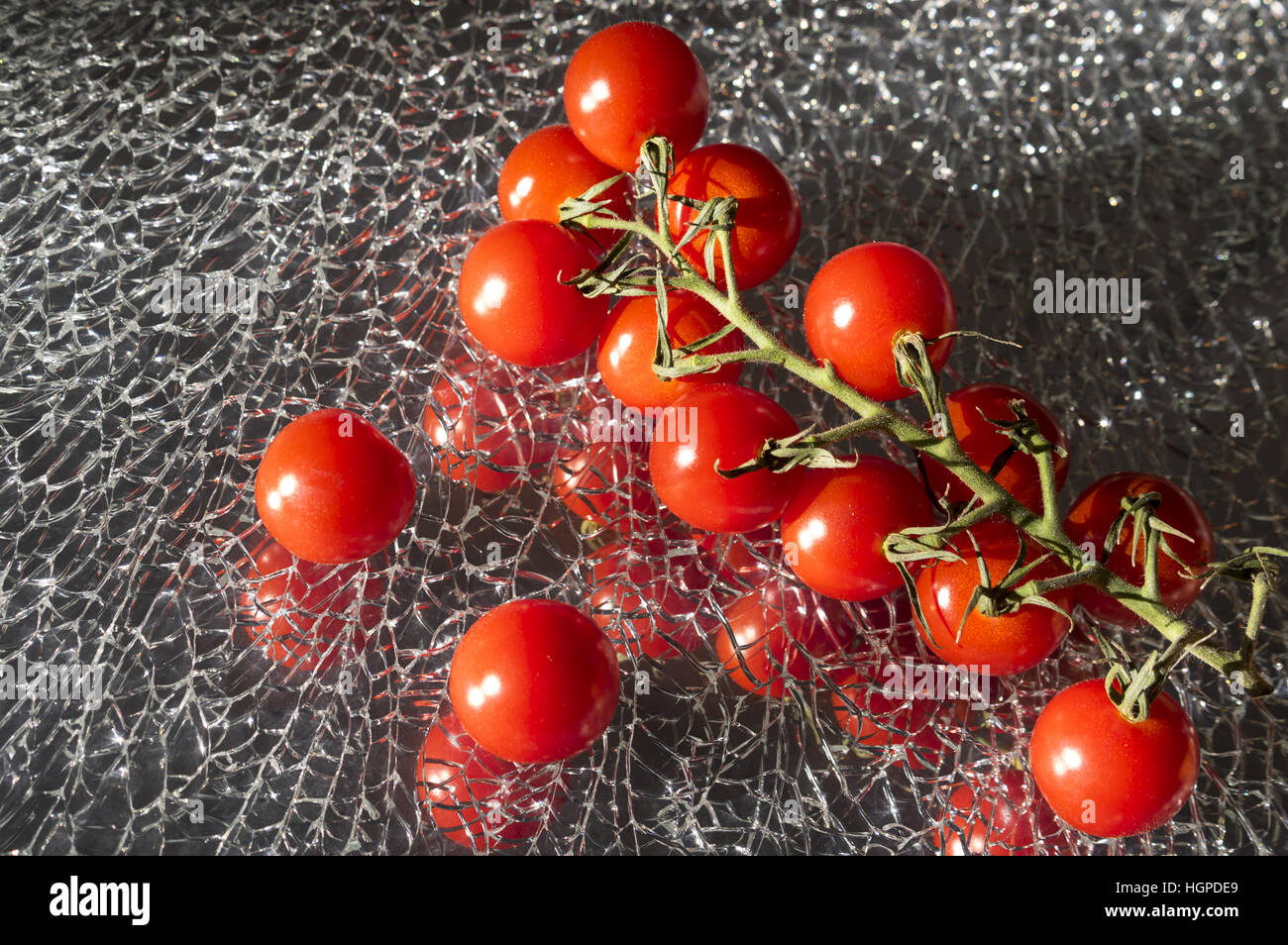 Tomates cerises fraîches mûres sur la branche verre miroir cassé Banque D'Images
