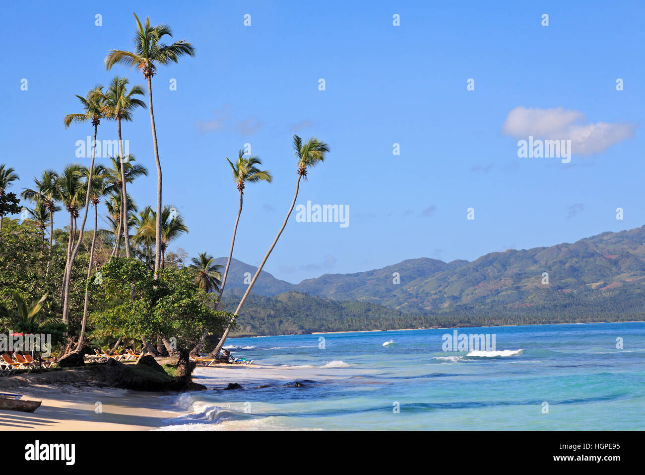 La Playta, tropical beach, palmiers et sable blanc,village de Las Galeras, République Dominicaine Banque D'Images