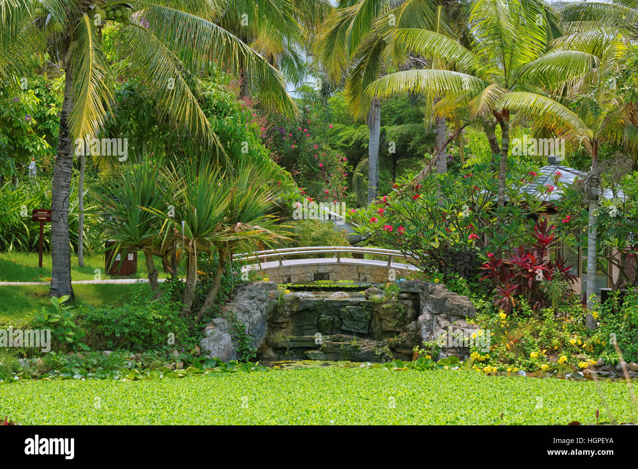 Grand jardin de l'hôtel d'arbres tropicaux avec petit pont sur le canal avec petite cascade Banque D'Images