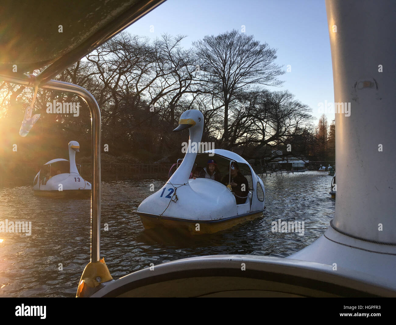 Swan Voile Pedalo Bateaux Sur L Etang Dans Le Parc D Inokashira Koen A Kichijoji Tokyo Japon Photo Stock Alamy Swan Voile Pedalo Bateaux Sur L Etang Dans Le Parc D Inokashira Koen A Kichijoji Tokyo Japon Photo Stock Alamy