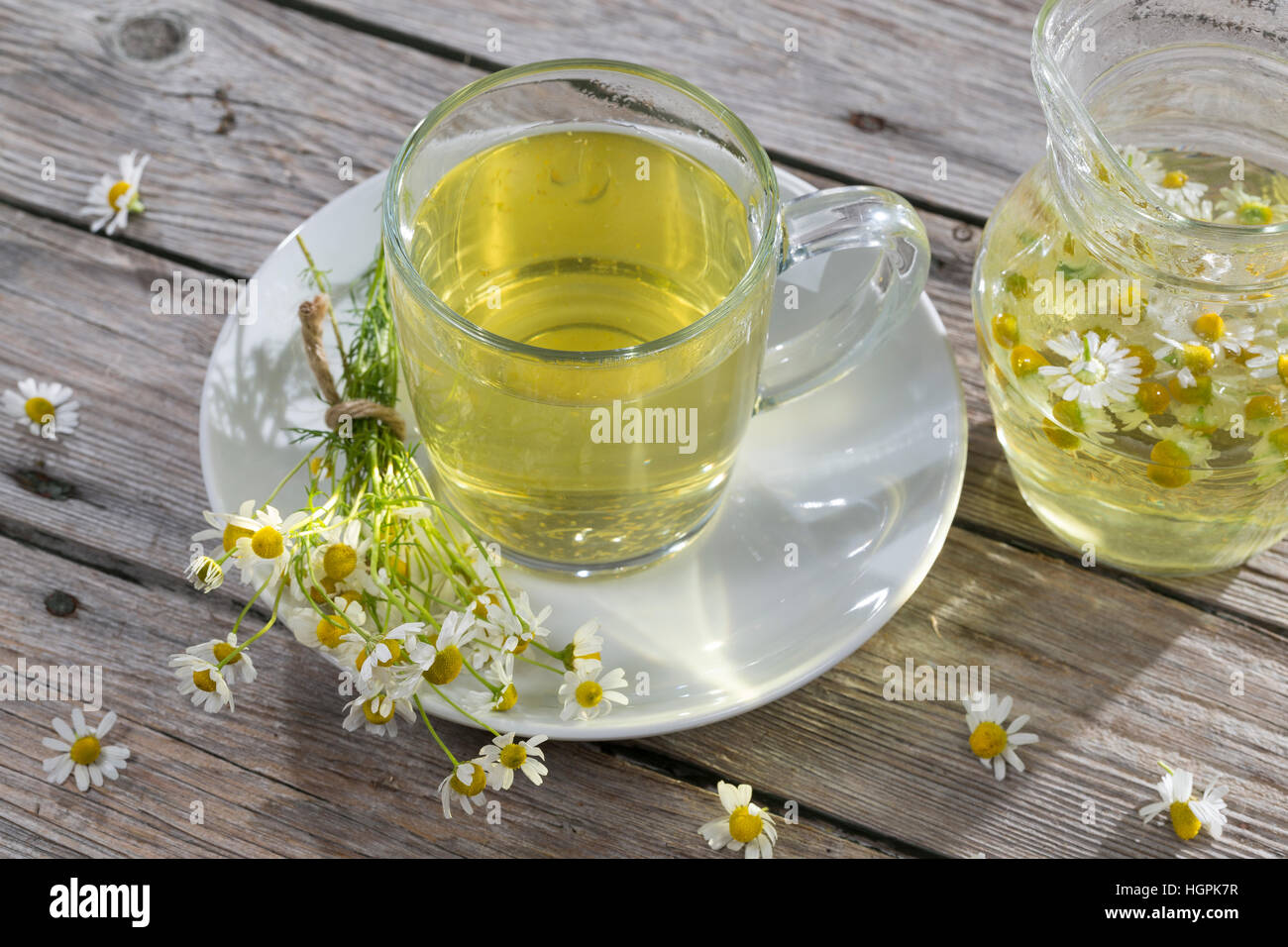 Kamillentee Kamillenblüten-Tee Kamilleblüten-Tee, Kamilletee, Kamillen-Tee Kamille-Tee,,,,, Heiltee Kräutertee en t. Echte Kamille, Matricaria recutita Banque D'Images