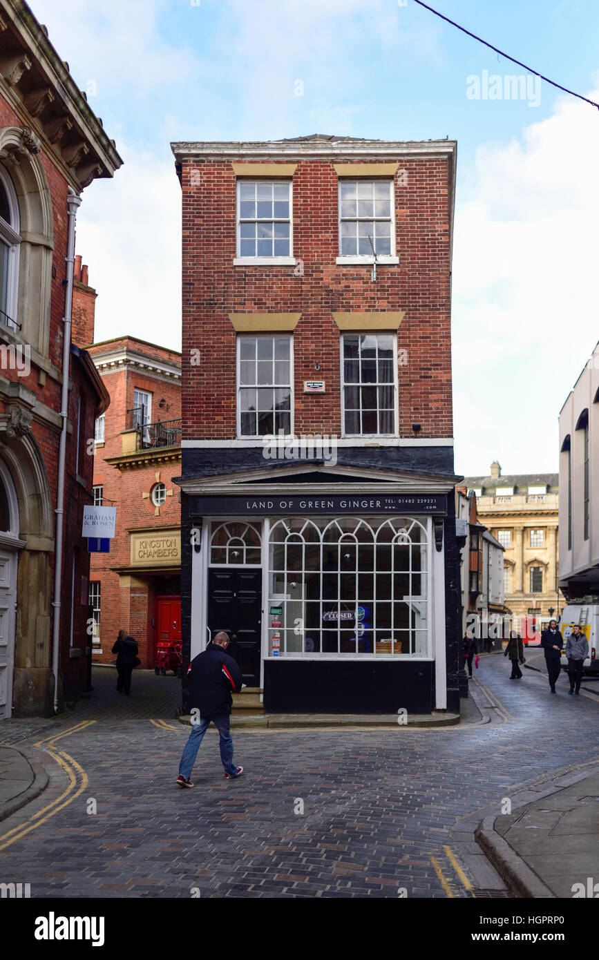 Kingston-uopn-Hull, East Riding of Yorkshire, UK.Terre de gingembre vert. Banque D'Images