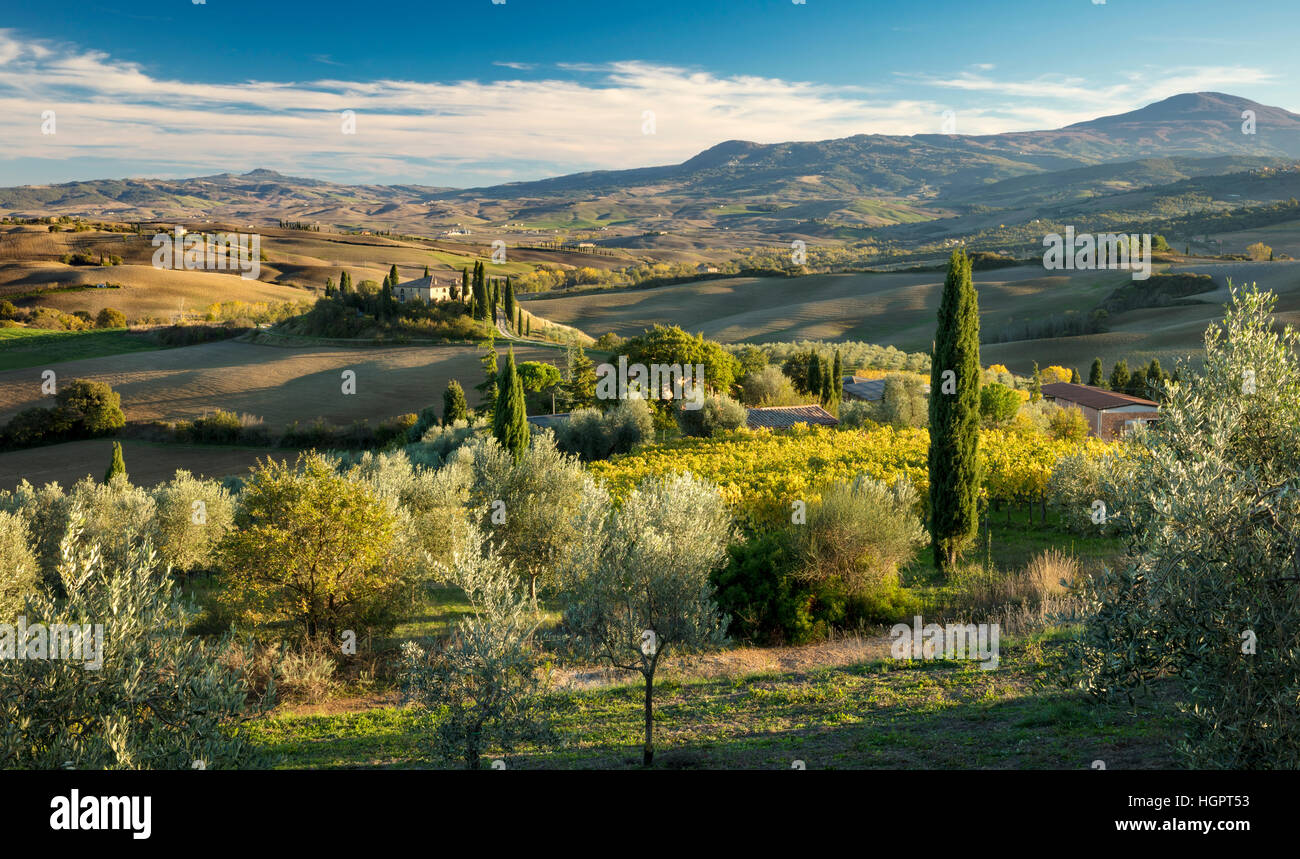 La fin de l'après-midi du soleil sur le Belvédère et la campagne du Val d'Orcia, près de San Quirico, Toscane, Italie Banque D'Images