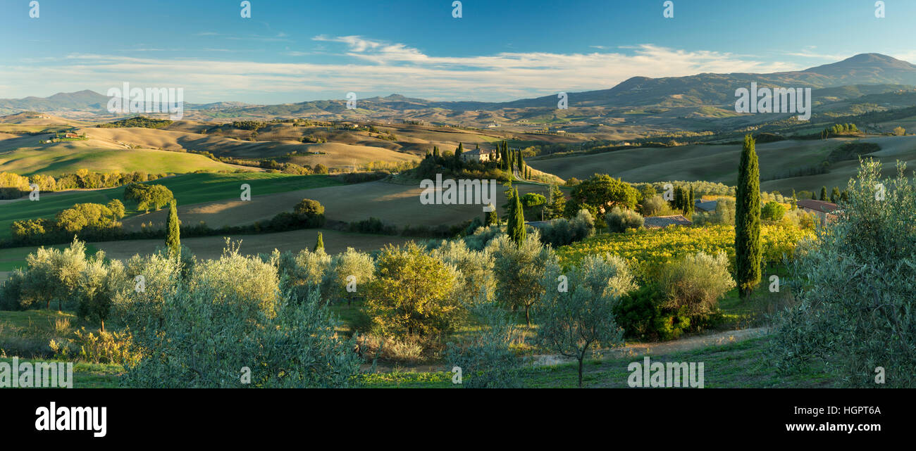 La fin de l'après-midi du soleil sur le Belvédère et la campagne du Val d'Orcia, près de San Quirico, Toscane, Italie Banque D'Images