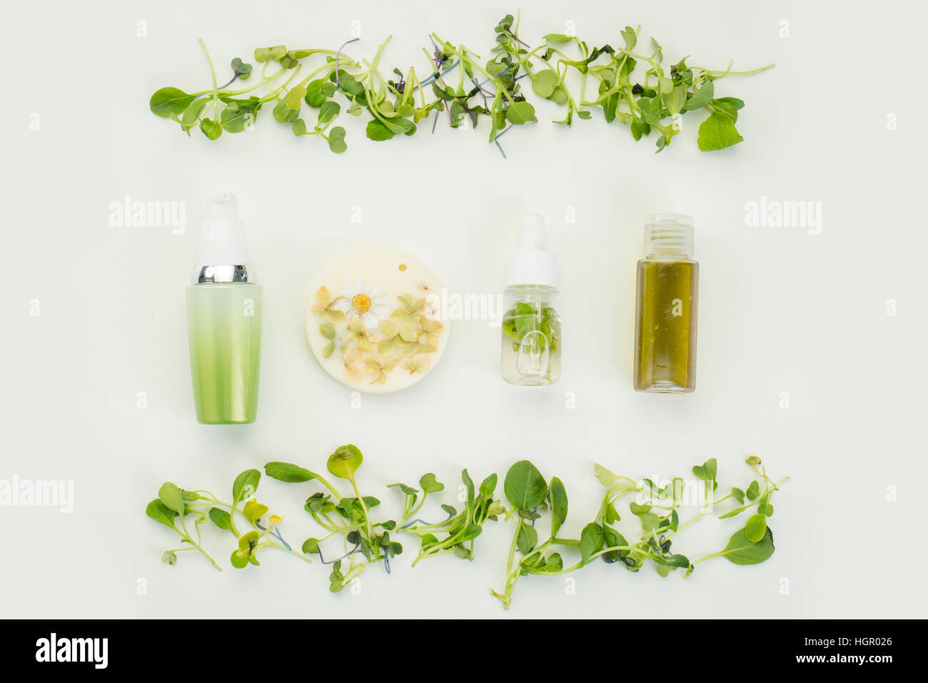 Cosmétiques biologiques Banque D'Images