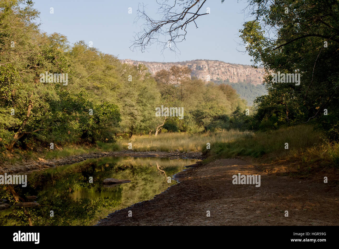 Une falaise à Ranthambhore National Park, Rajasthan, Inde Banque D'Images