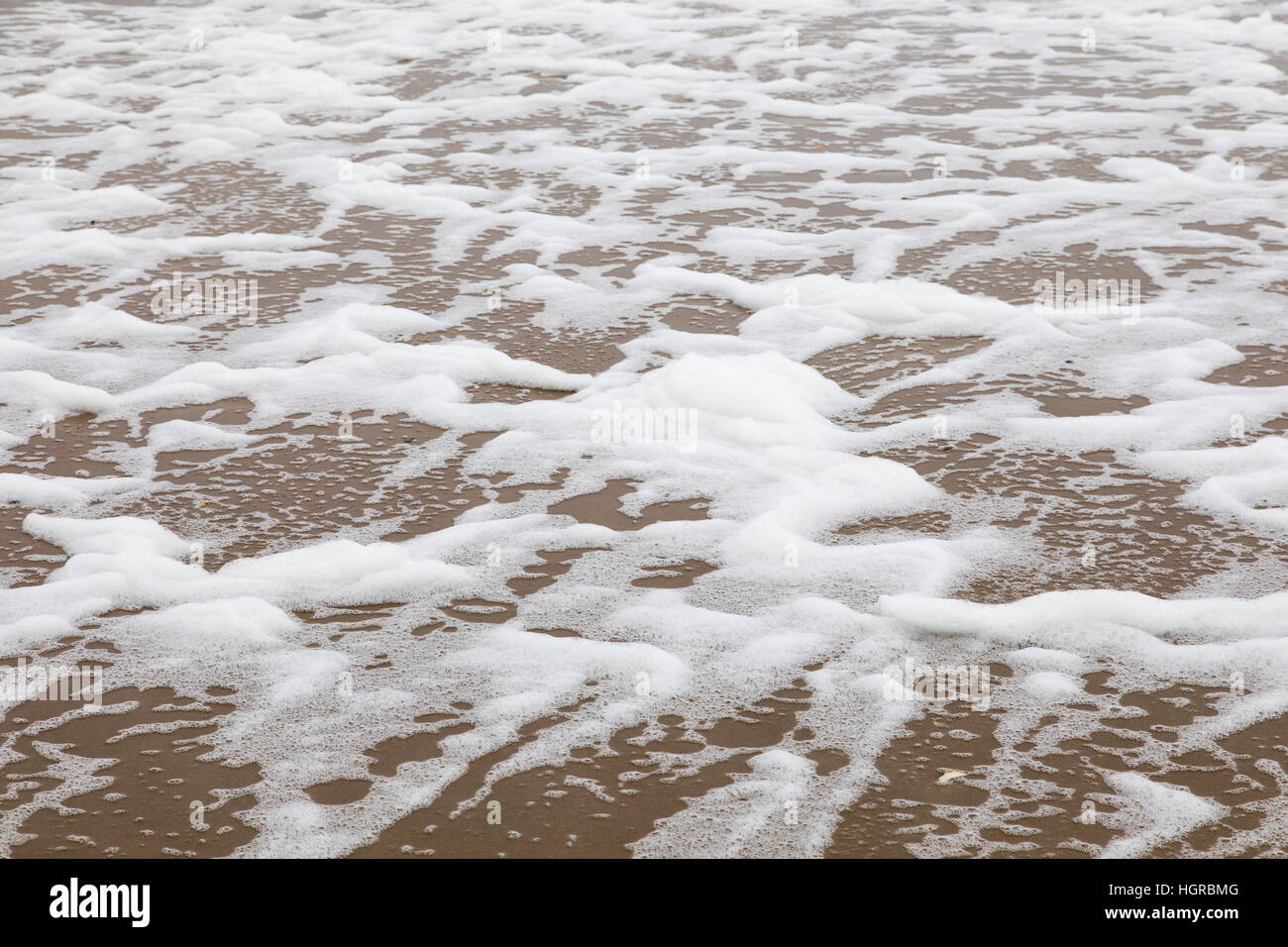 Écume de mer, il est formé par un vent fort et les particules organiques à la surface de l'eau. Ces particules sont généralement des algues ou les sels dissous, Mer du Nord, str Banque D'Images