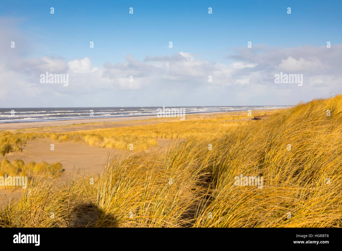 Paysage de dunes, Nordseedeich Hondsbossche Zeewering,, entre les villages de Camperduin et Petten, dans Nordholland, 8 km de long avec une digue de 250 mètres, Banque D'Images