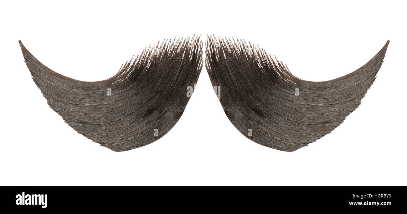 Retro Style Cheveux Moustache isolé sur fond blanc. Banque D'Images