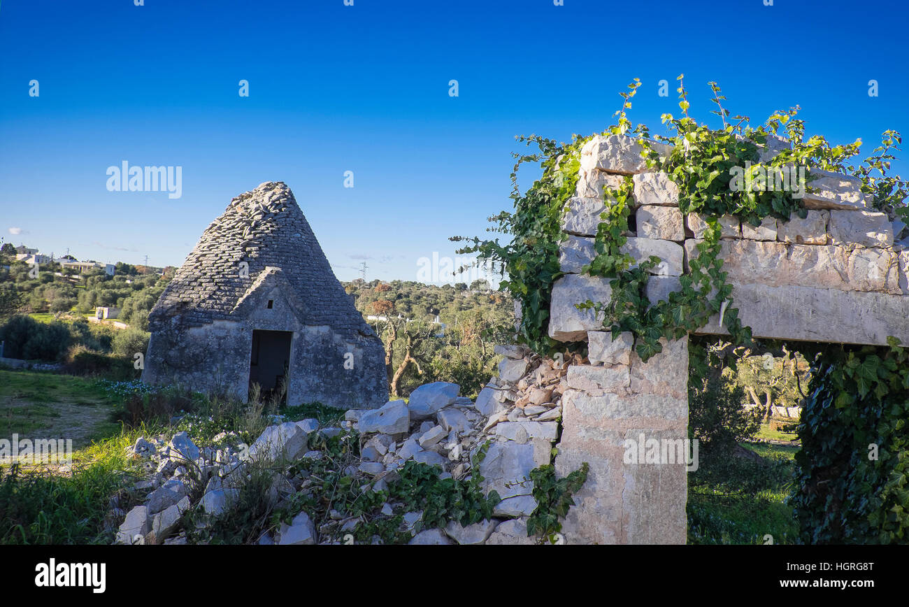 Maisons trulli dans l'aeria pulia dans le sud de l'italie Banque D'Images