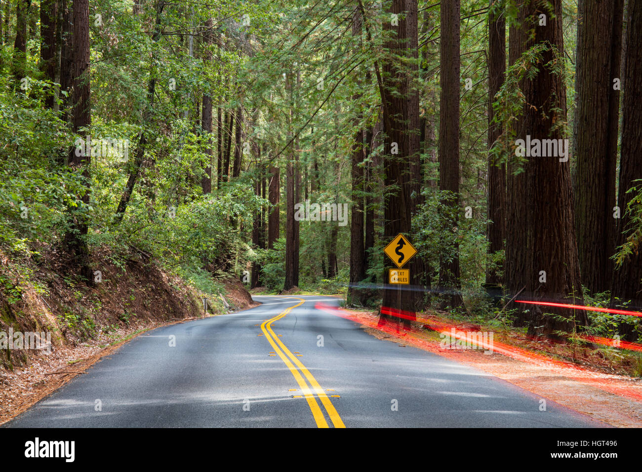 Route sinueuse avec des garde-corps, Henry Cowell Redwoods State Park, Californie, USA Banque D'Images