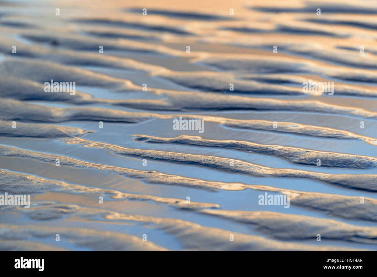 Des ondulations, ondulations dans le sable humide, marée basse, Norderney, îles de la Frise orientale, Basse-Saxe, Allemagne Banque D'Images