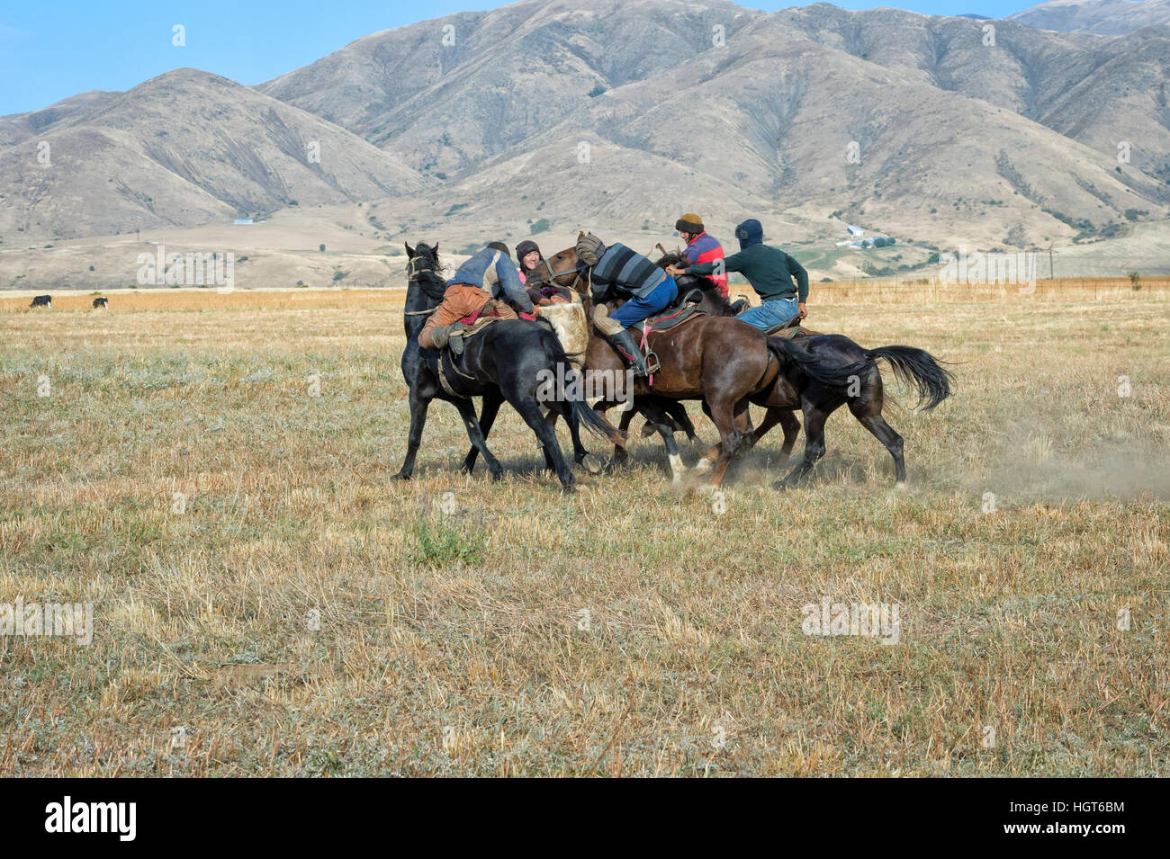 Kokpar traditionnels ou buzkashi dans la périphérie de Gabagly parc national, Shymkent, Kazakhstan, Région du Sud, l'Asie centrale Banque D'Images