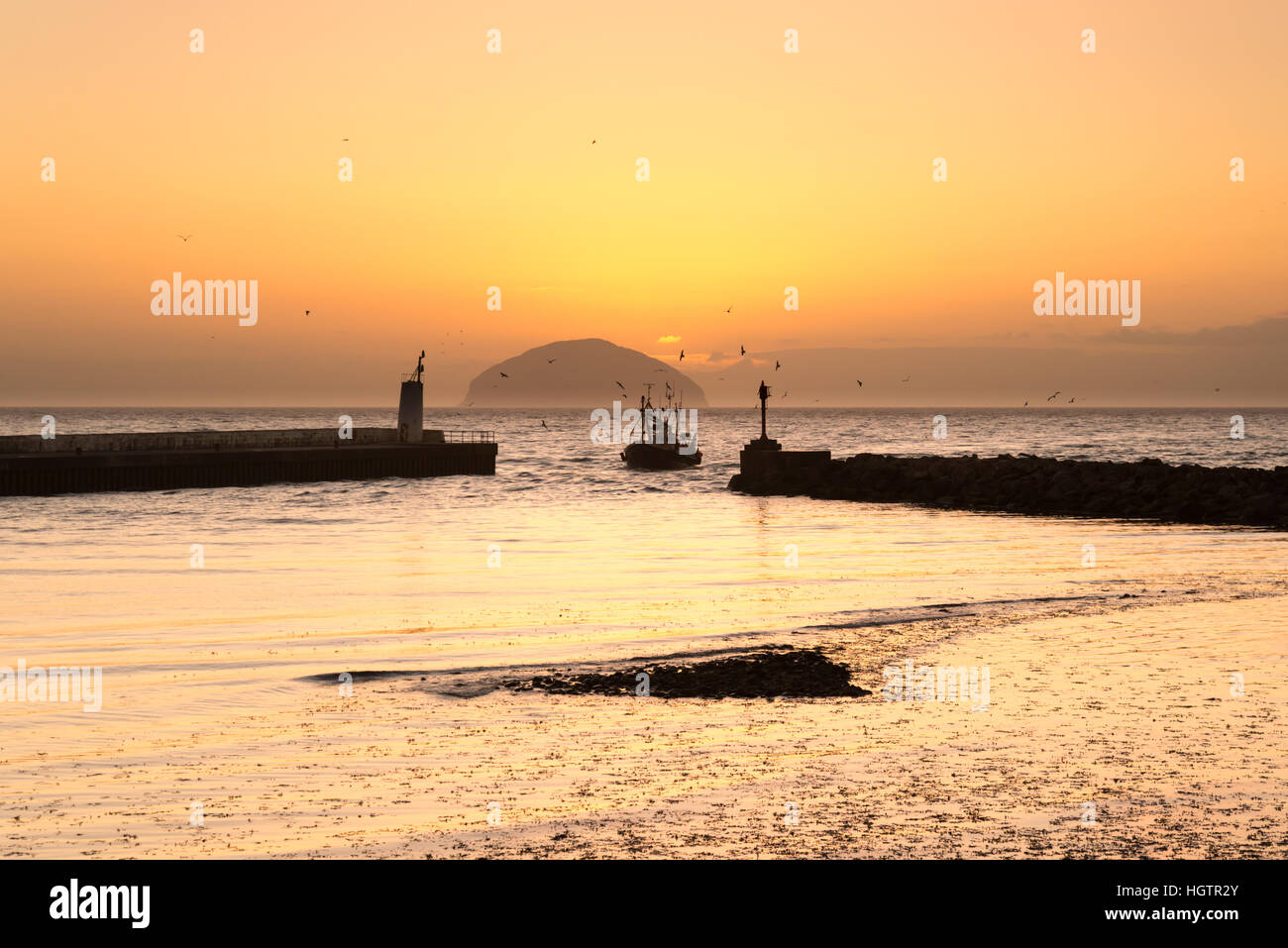 Bateau de pêche dans la région de girvan port avec les mouettes au coucher du soleil et d''Ailsa Craig Island à l'horizon, Girvan, Ayrshire, Scotland Banque D'Images